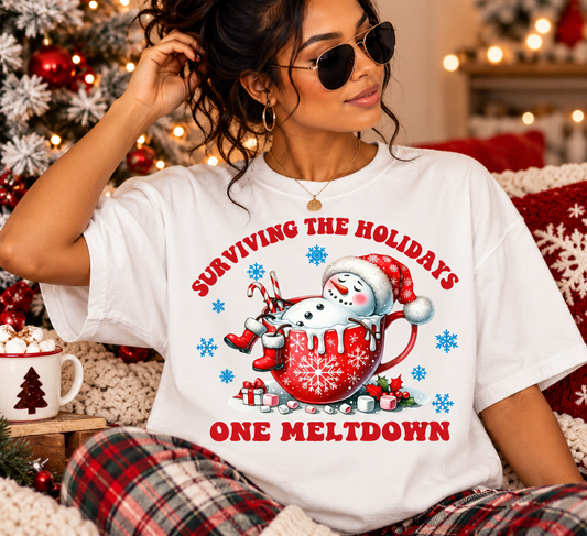 Surviving the Holidays One Meltdown at a Time